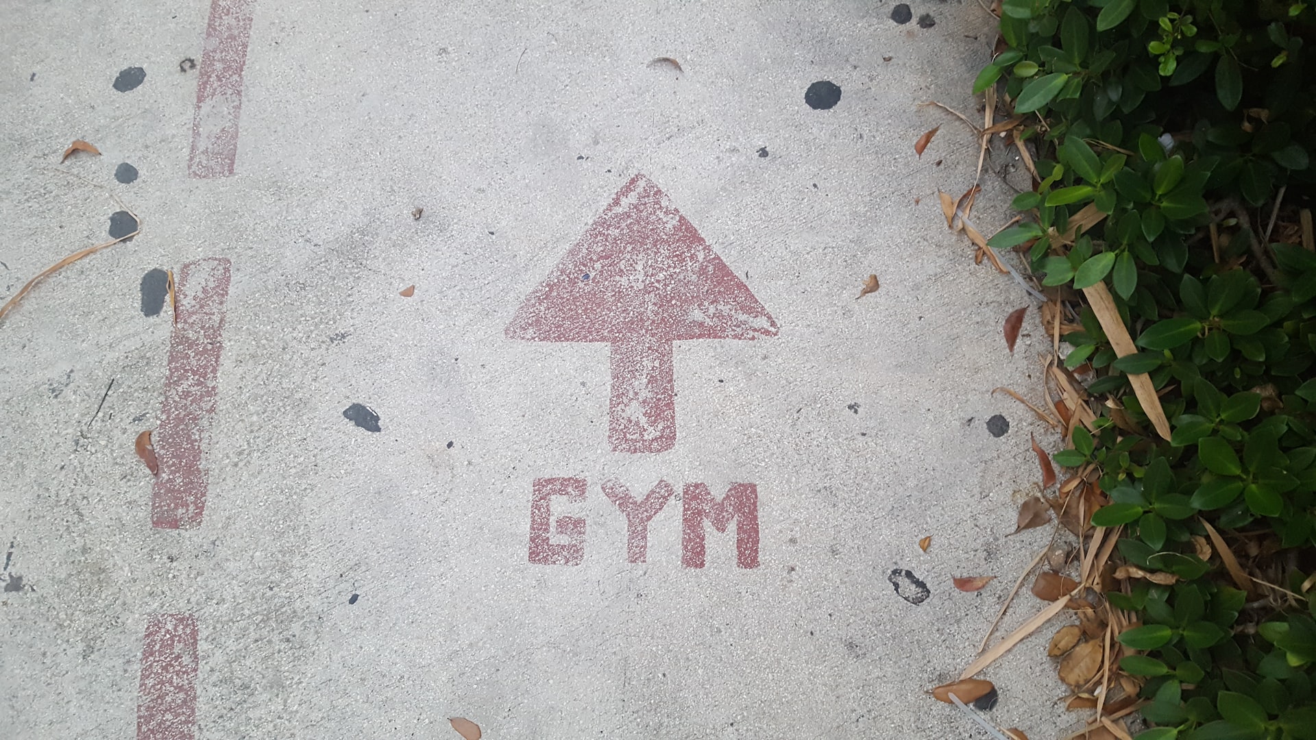 gym road Understanding User Needs